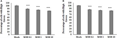 Sindbis Virus Replication Reduces Dependence on Mitochondrial Metabolism During Infection